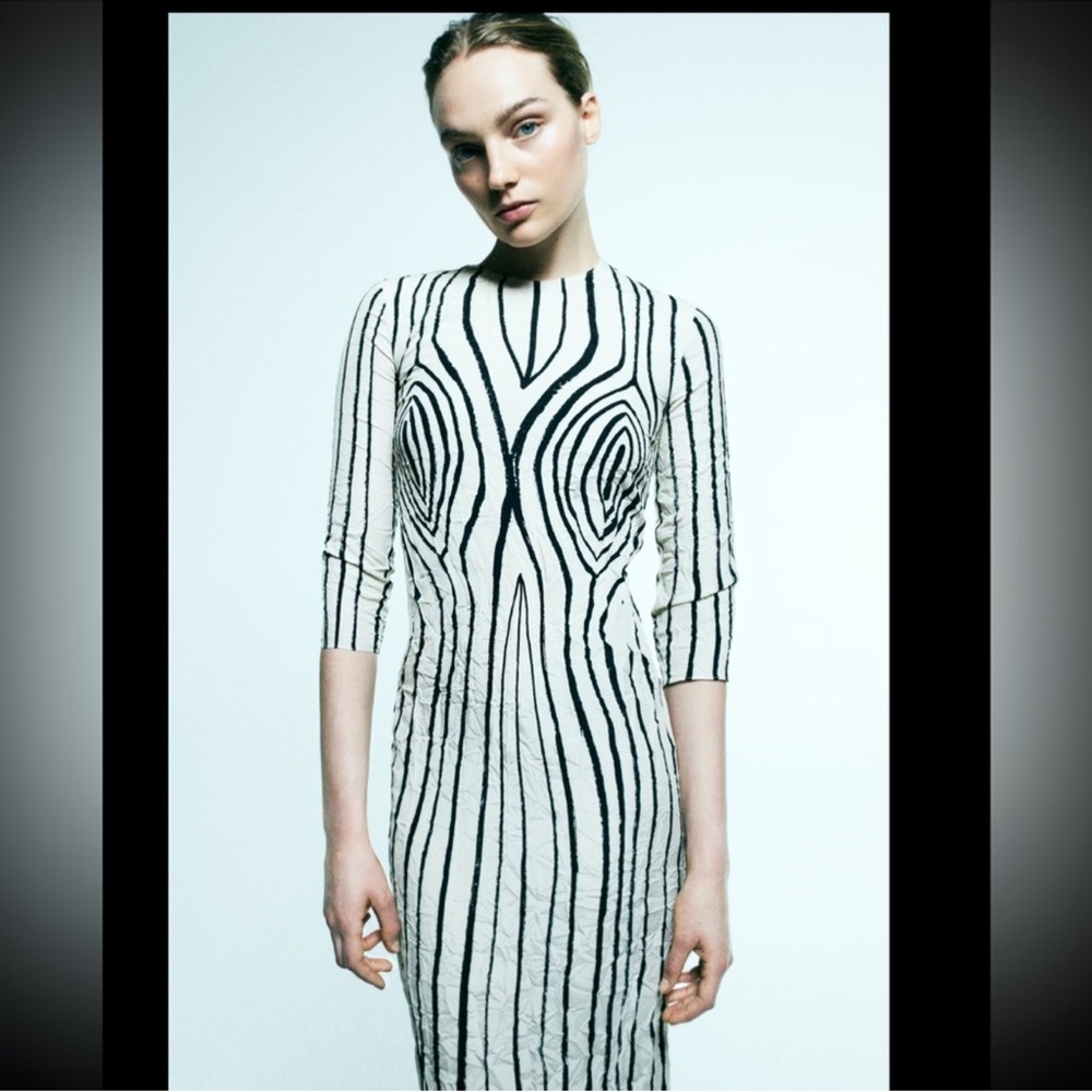 Zara Monochrome Long Sleeve Dress